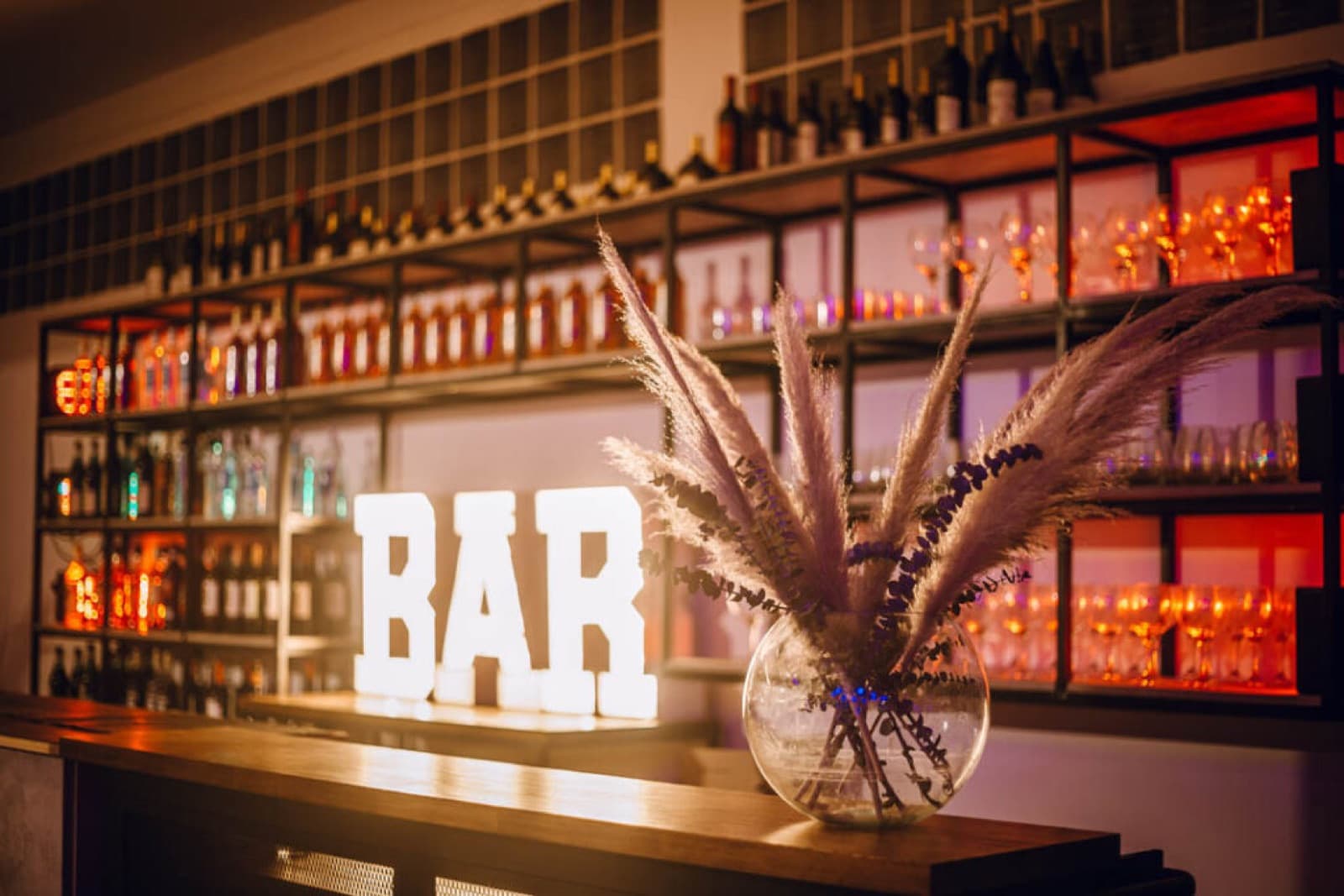 La barra con las letras luminosas que dicen BAR, las botellas iluminadas en los estantes de atrás y un arreglo de plumas de pampa sobre la madera.