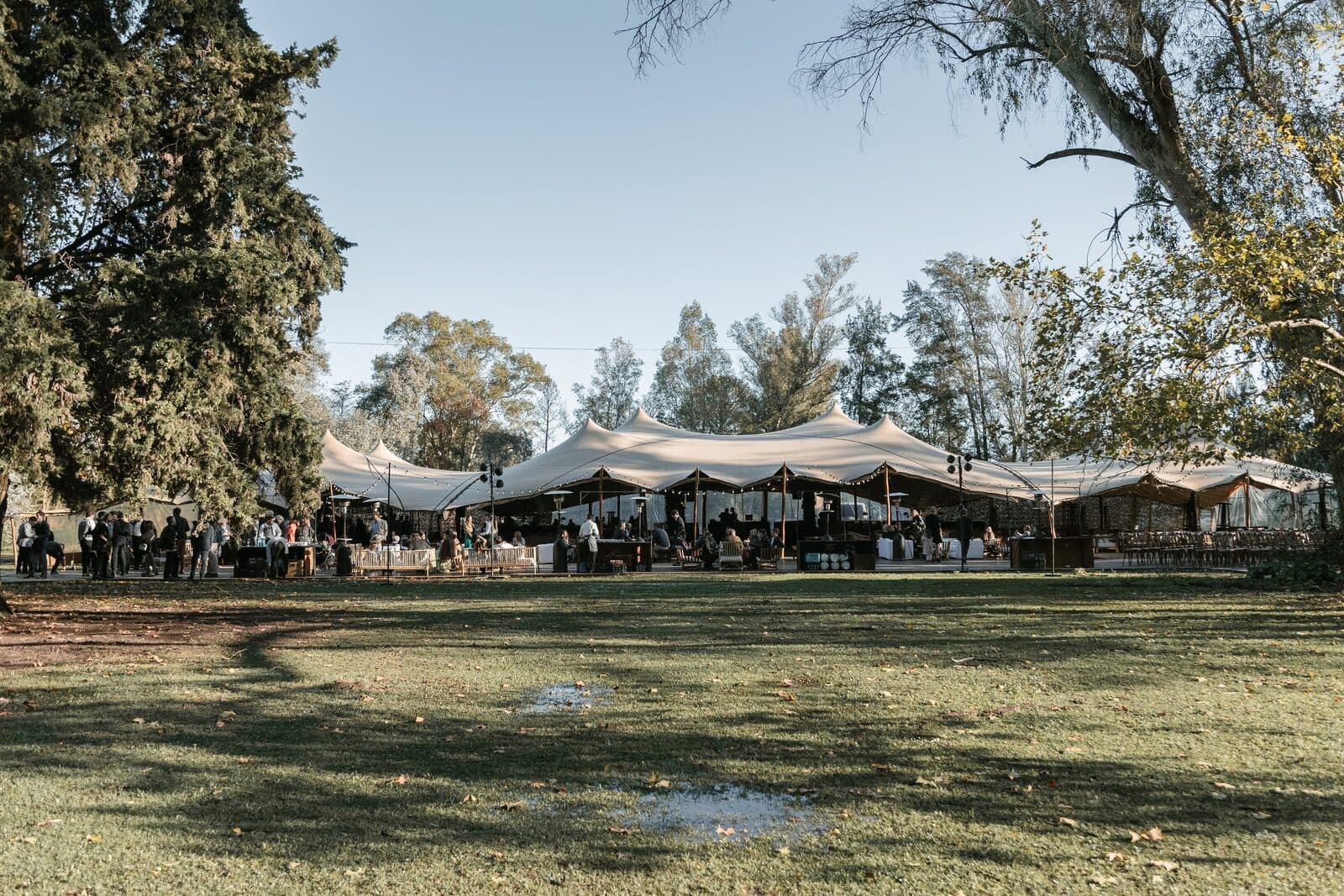 El parque de árboles grandes al atardecer, con la carpa blanca del evento montada al fondo sobre el césped.