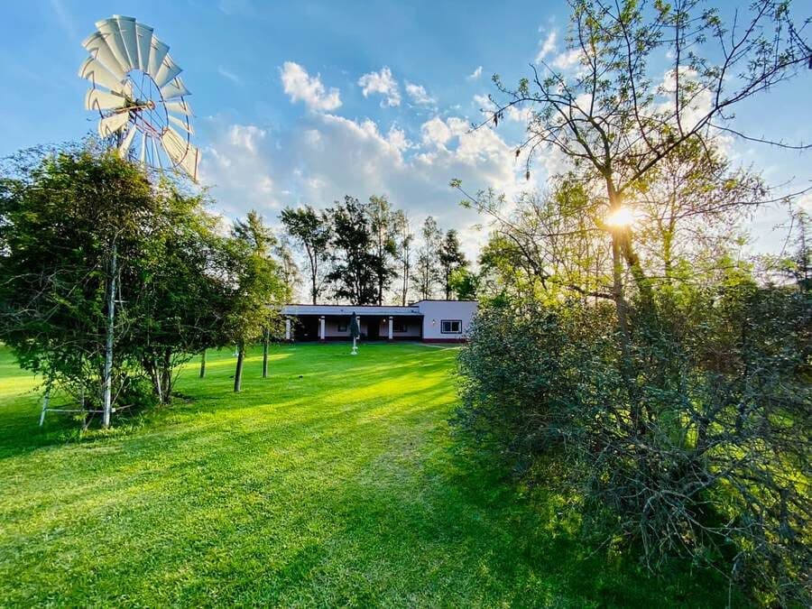 El parque al sol con un molino de viento a la izquierda, el césped abierto en el medio y el salón bajo y blanco al fondo entre los árboles.