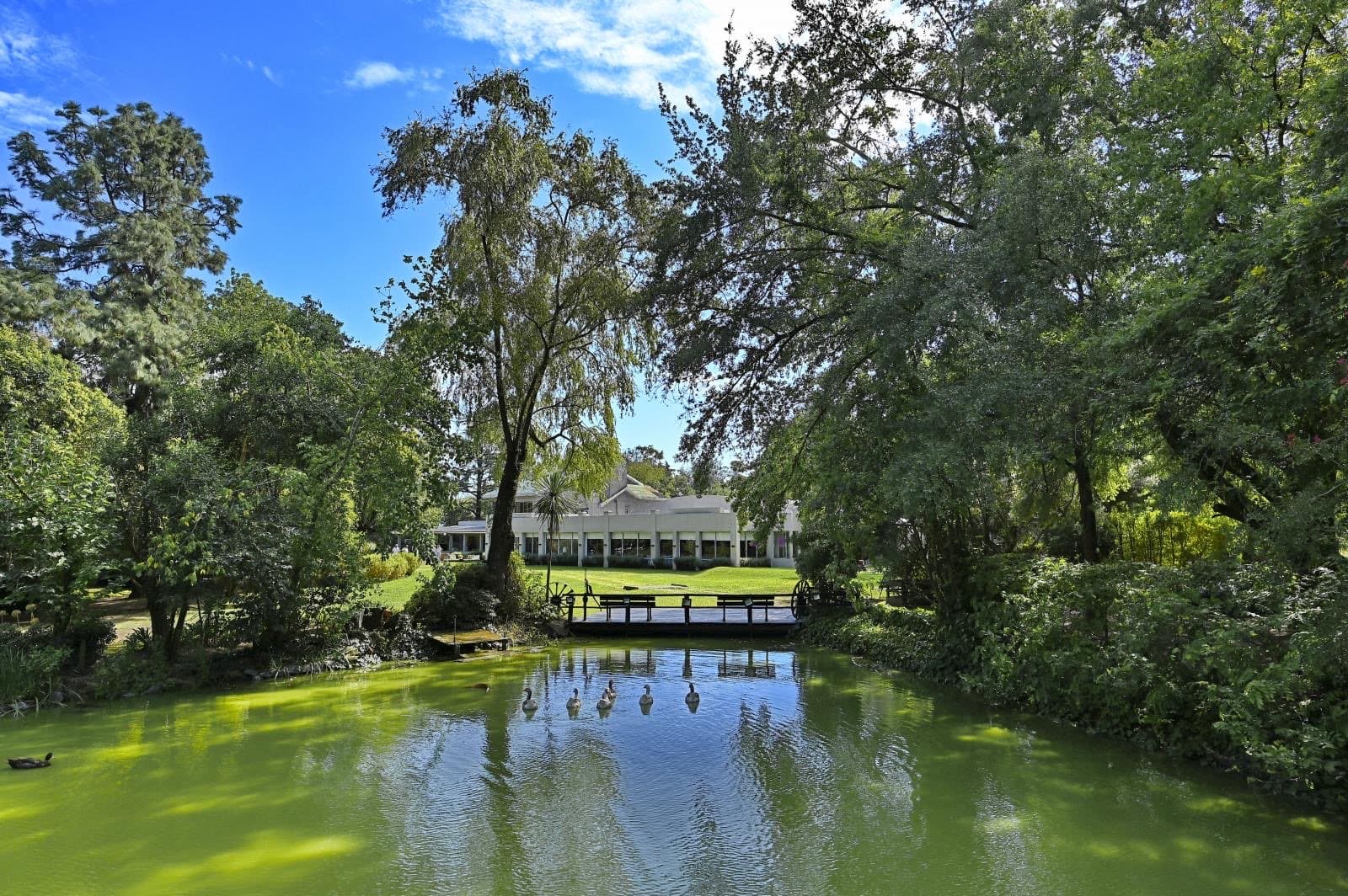 El estanque de la quinta con patos y un puente de madera, y el salón vidriado al fondo entre los árboles.